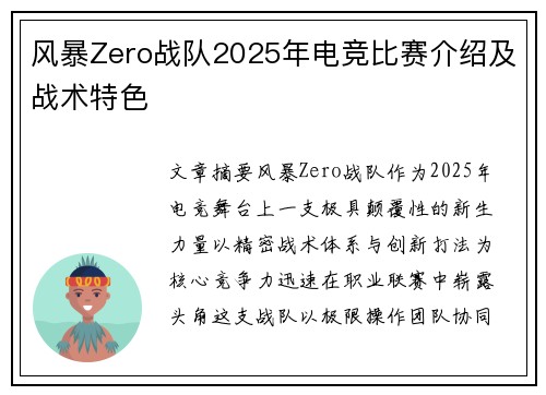风暴Zero战队2025年电竞比赛介绍及战术特色